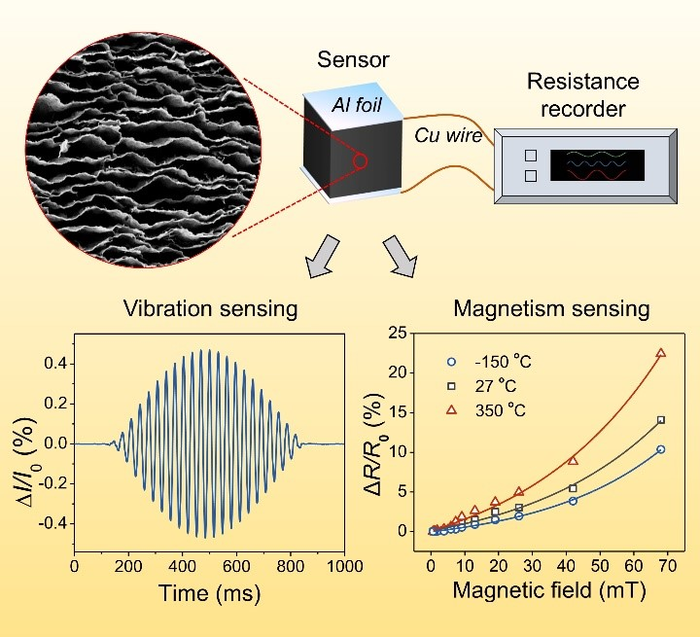 A Highly Compressible and Stretchable Carbon Spring for Smart Vibration and Magnetism Sensors