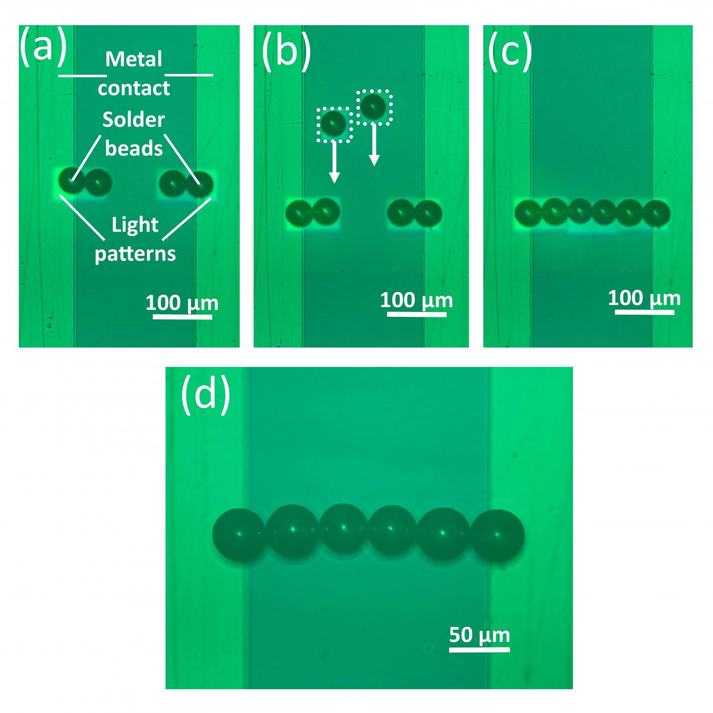 Optoelectronic Tweezer Microas [IMAGE] EurekAlert! Science News Releases