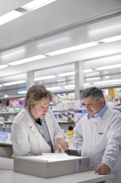 Dr. Jeff Babon and Professor Nick Nicola, Walter and Eliza Hall Institute