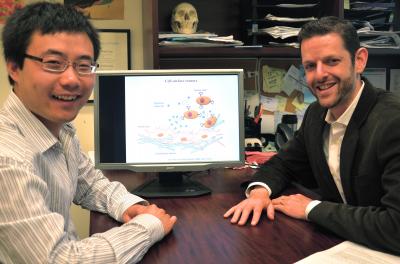 Researchers Develop Technology to Monitor Cellular Interactions