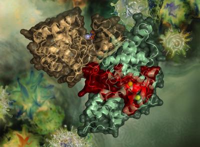 Crystal Structure of HIV Protein Tat