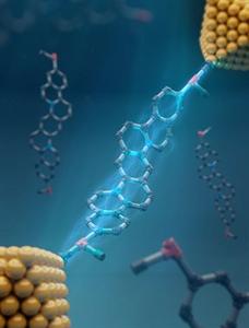 Ladder Molecule