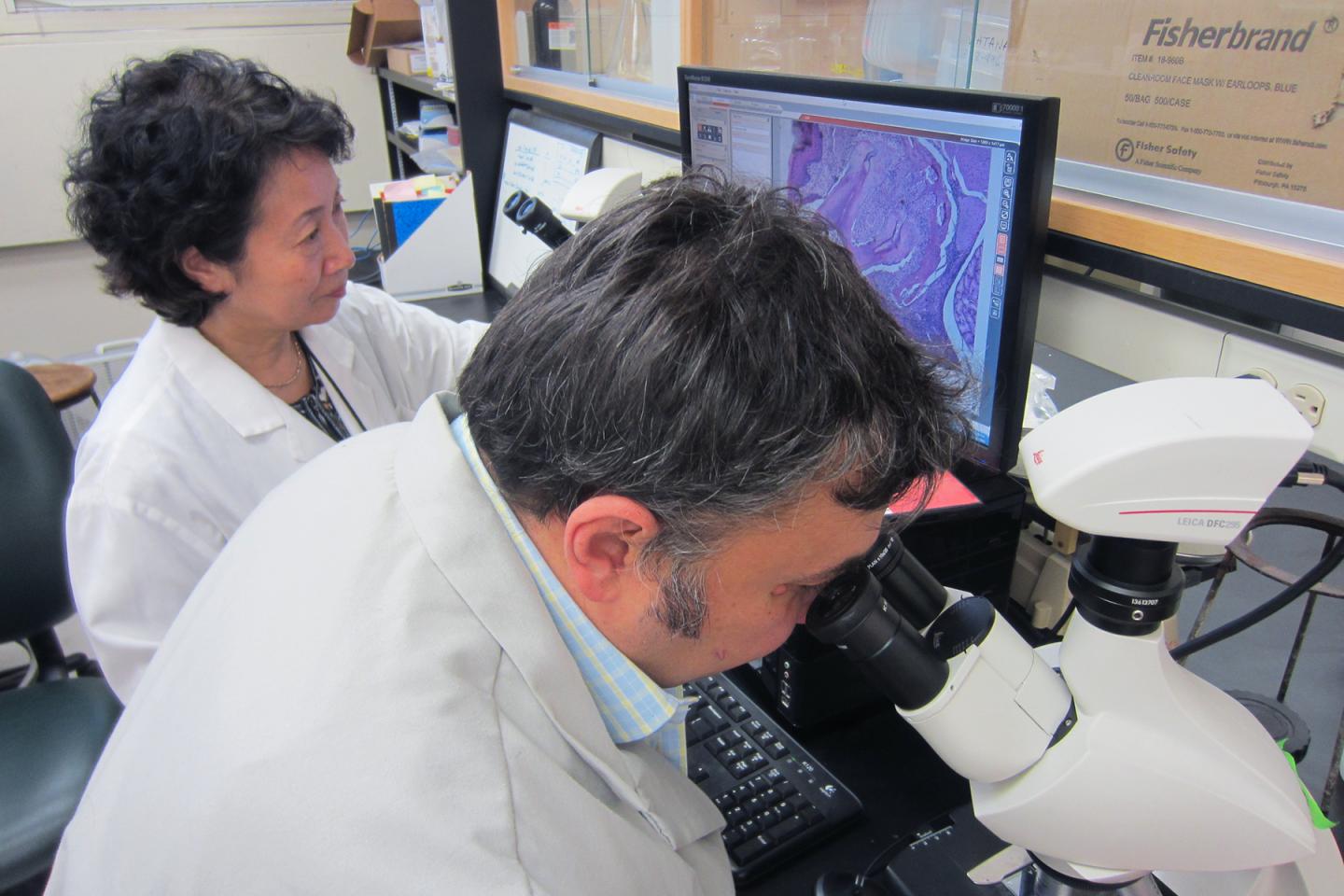 Keiko Watanabe and Vladimir Ilievski, University of Illinois at Chicago