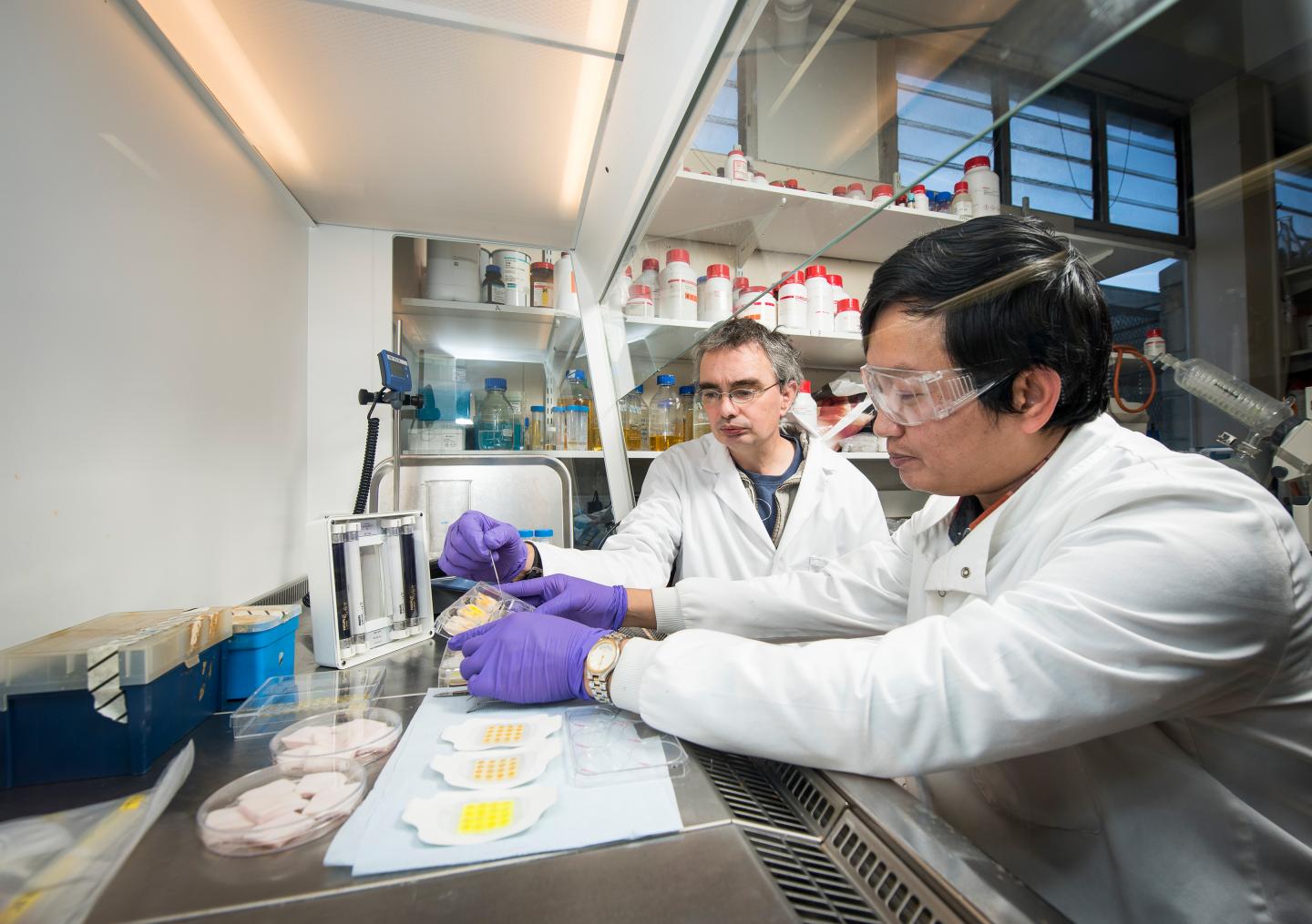 Dr. Tony Jenkins and Dr. Naing Tun Thet