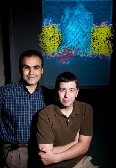 Emad Tajkhorshid and James Gumbart, University of Illinois at Urbana-Champaign