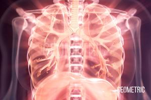 Regional differences in tracheal, bronchus, and lung cancer burden across the world.