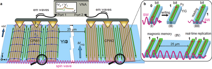 Experimental setup_LMGN EPFL