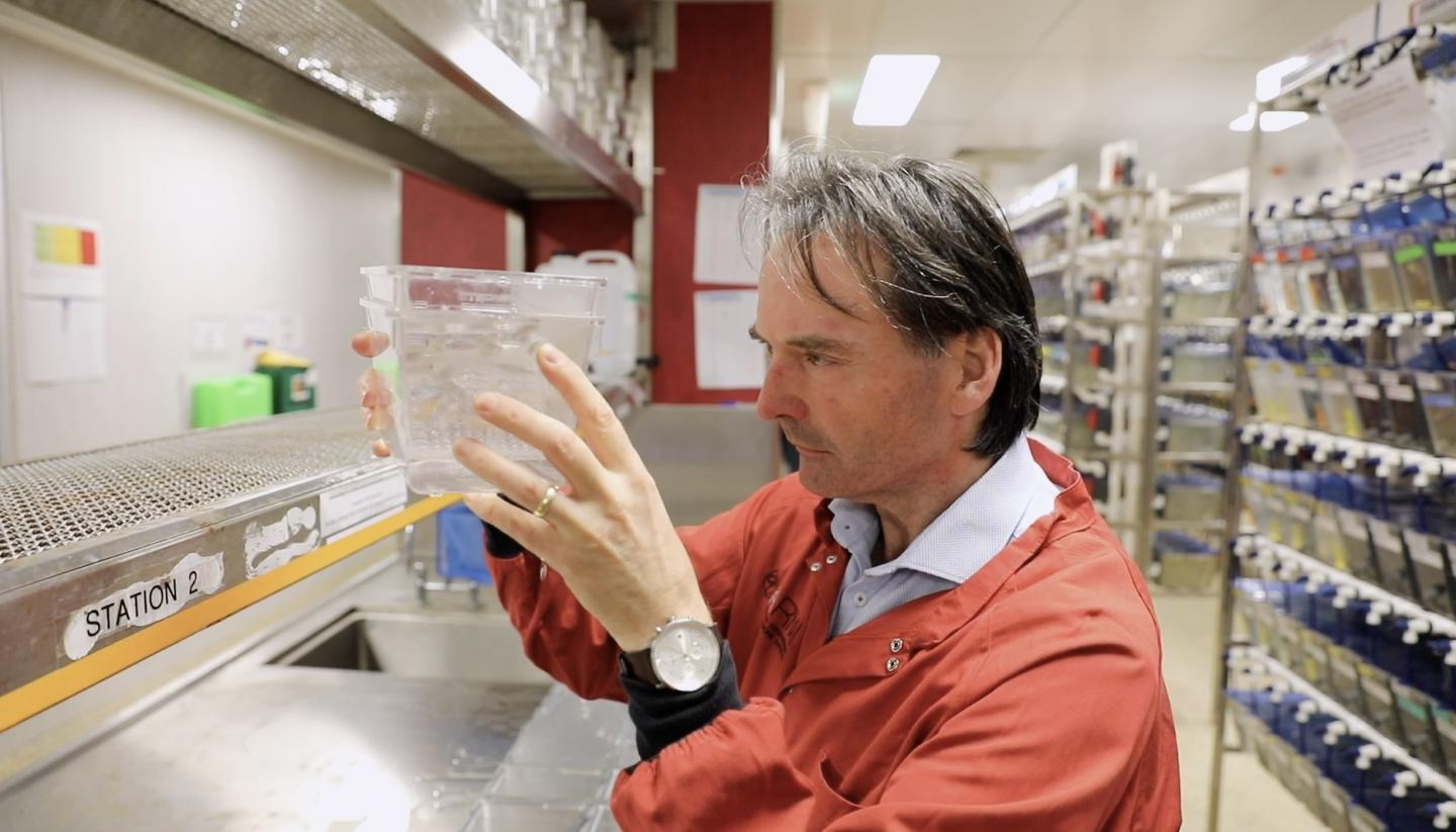 Professor Peter Currie in the Monash University Zebrafish Facility