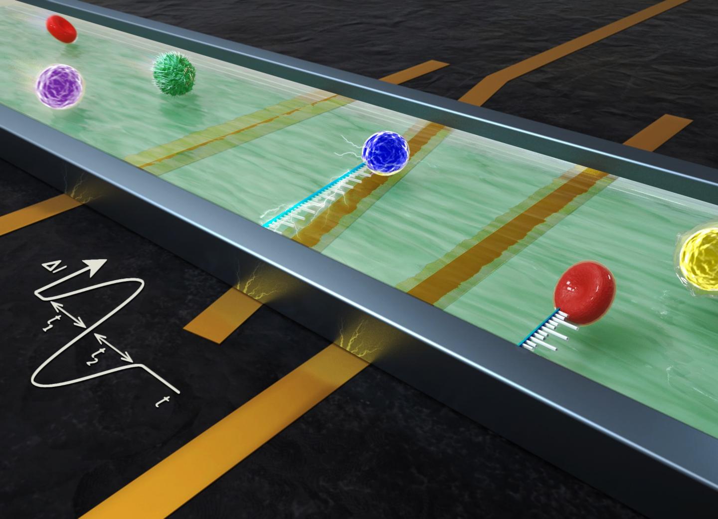 Figure 1 - Schematic Design of Electrical Sensing Region in Microfludic Device