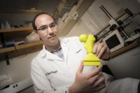 Researcher with Custom 3-D-Printed Model
