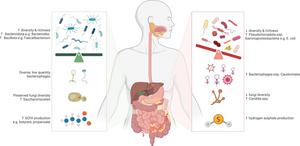 Major community and species-specific alterations in gut microbiota and metabolites associated with active inflammatory bowel disease (right) relative to healthy bowel (left).