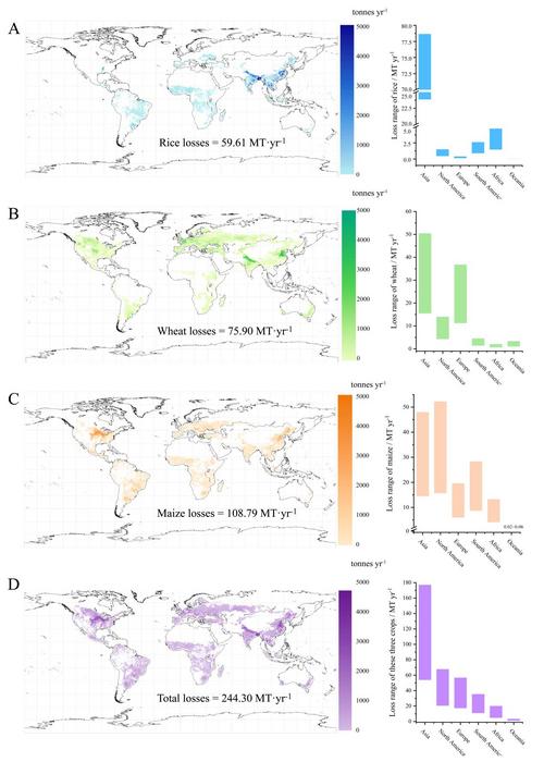 Global maps of annual production losses for three main food crops