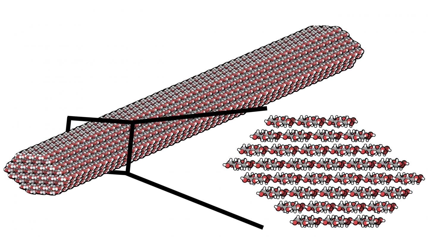 Nanocellulose Materials by Design