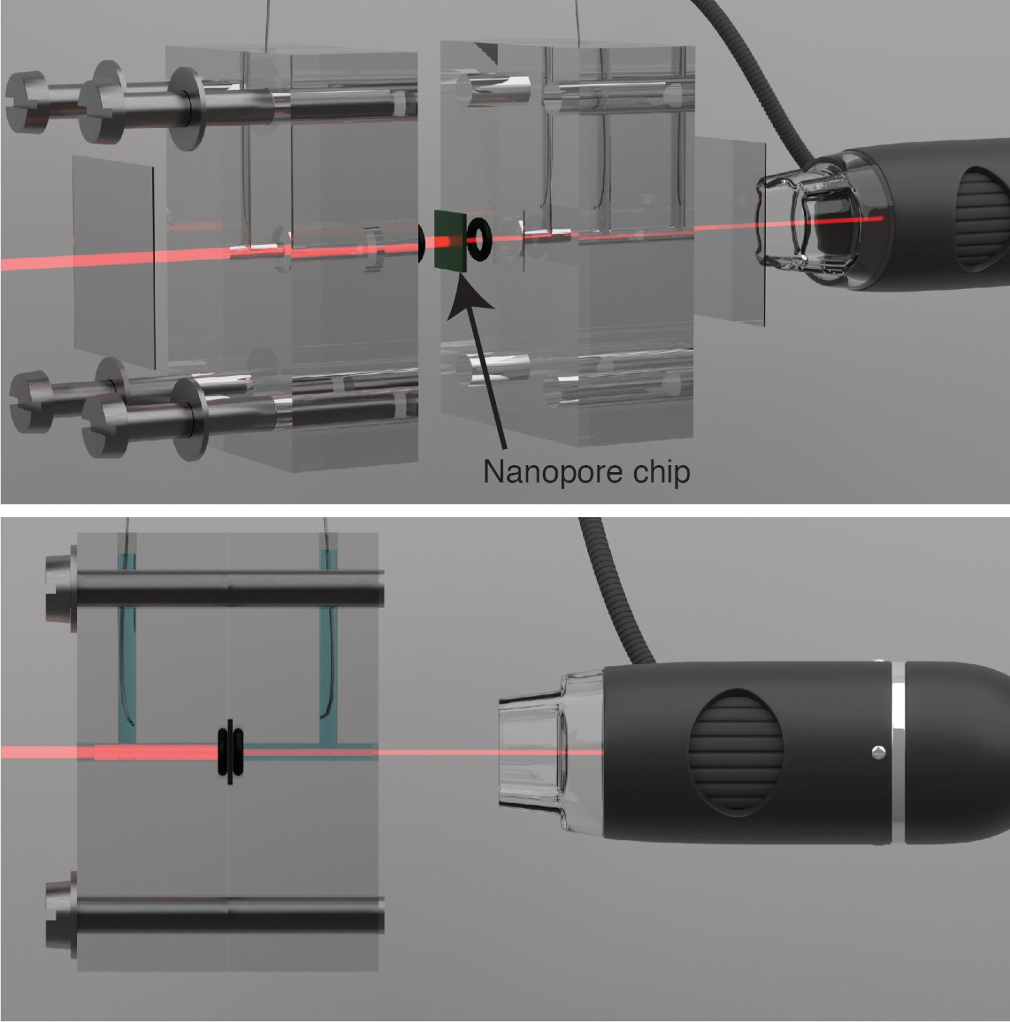 The Benefit of Light