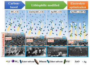 Synergistic improvement of lithium deposition behavior in hydrocarbon host structures by lithiophilic sites and localized high-concentration electrolytes