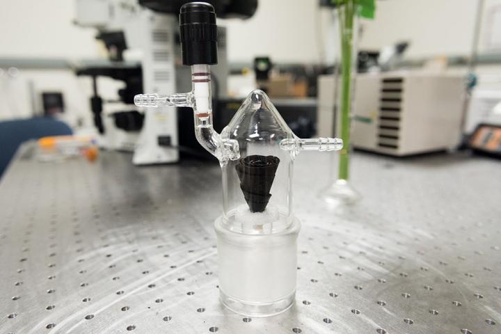 A Rose By Any Other Name May Be a Water Purifying Device