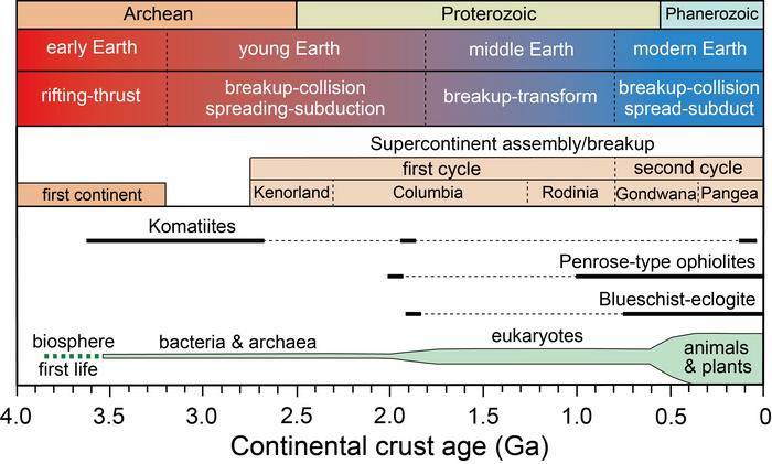 The formation and evolution of continental crust in geological history