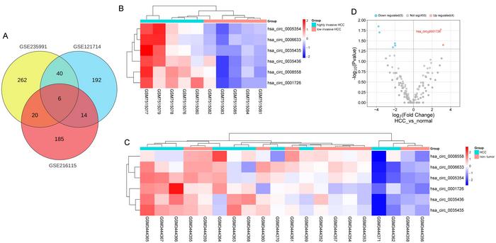 Identification of differentially expressed circRNAs in hepatocellular carcinoma (HCC)