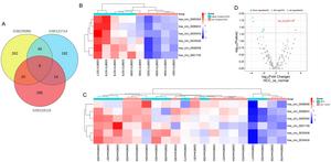 Identification of differentially expressed circRNAs in hepatocellular carcinoma (HCC)