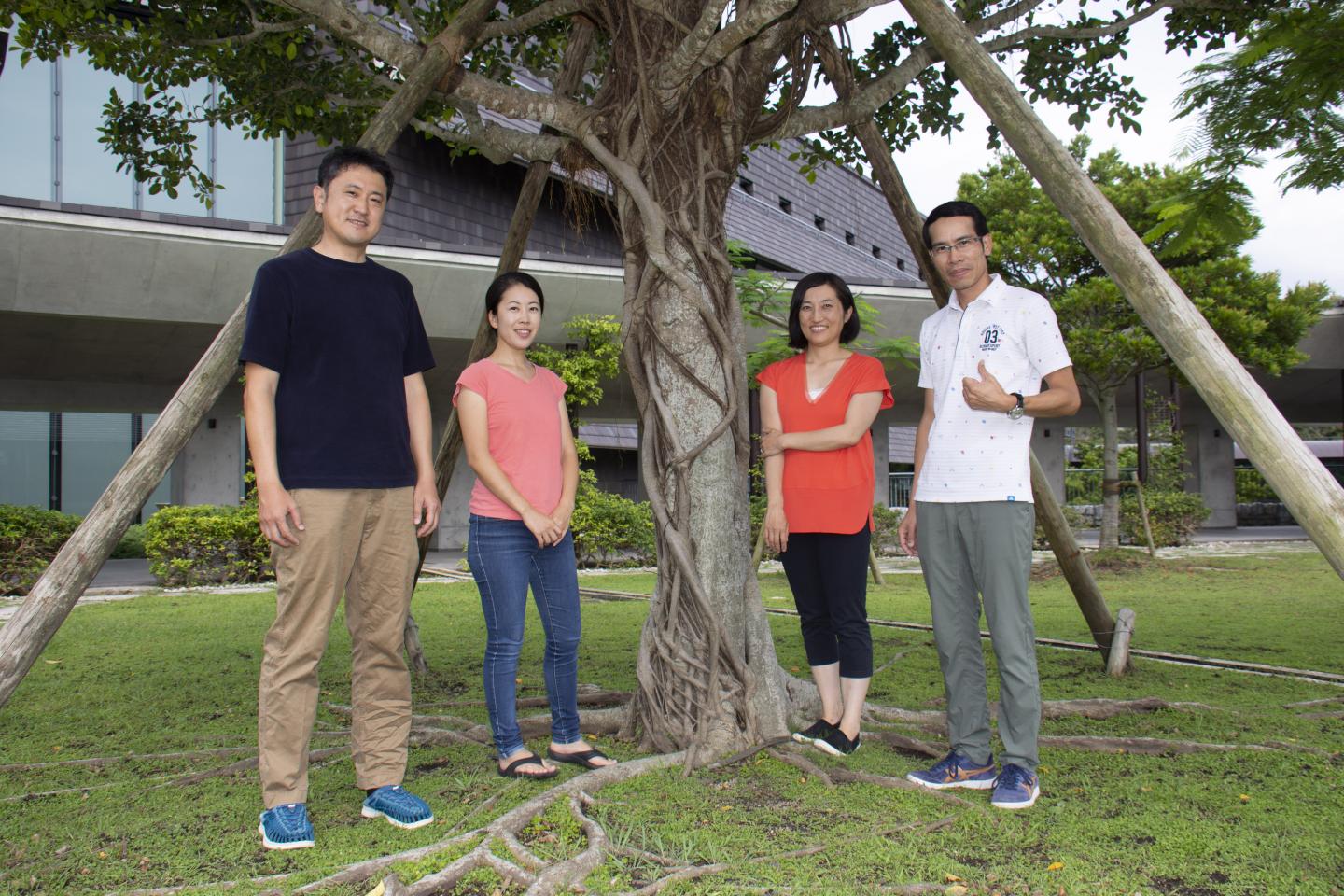 Scientists from the OIST Plant Epigenetics Unit