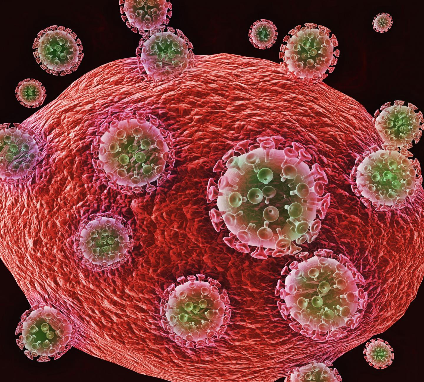 Cell Fighting Viruses