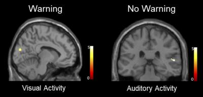 Warning Witnesses of the Possibility of Misinformation Helps Protect Their Memory Accuracy