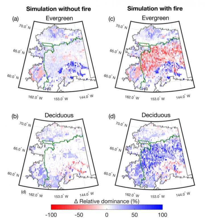 Deciduous Broadleaf Trees Increase and Evergreen Conifer Trees Decrease