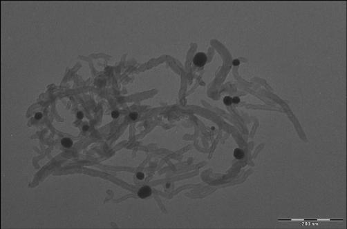 Peptides and Nanotubes