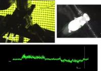 Neural Recordings in Actively Flying Fruit Flies