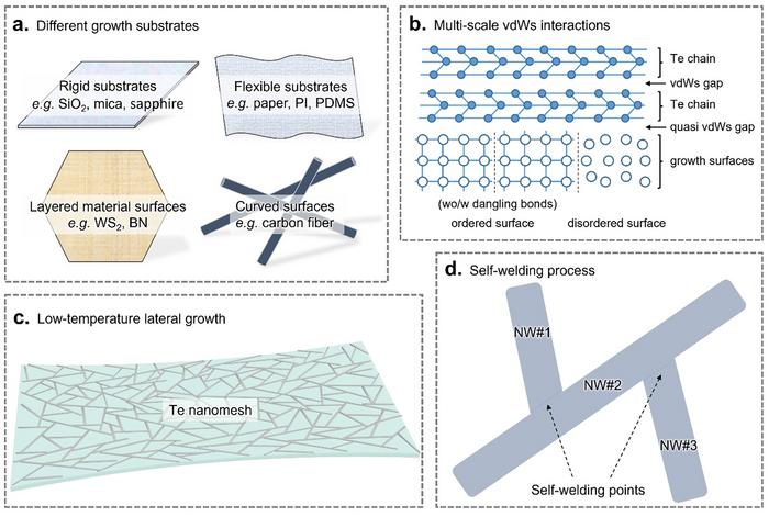 Schematic illustrations