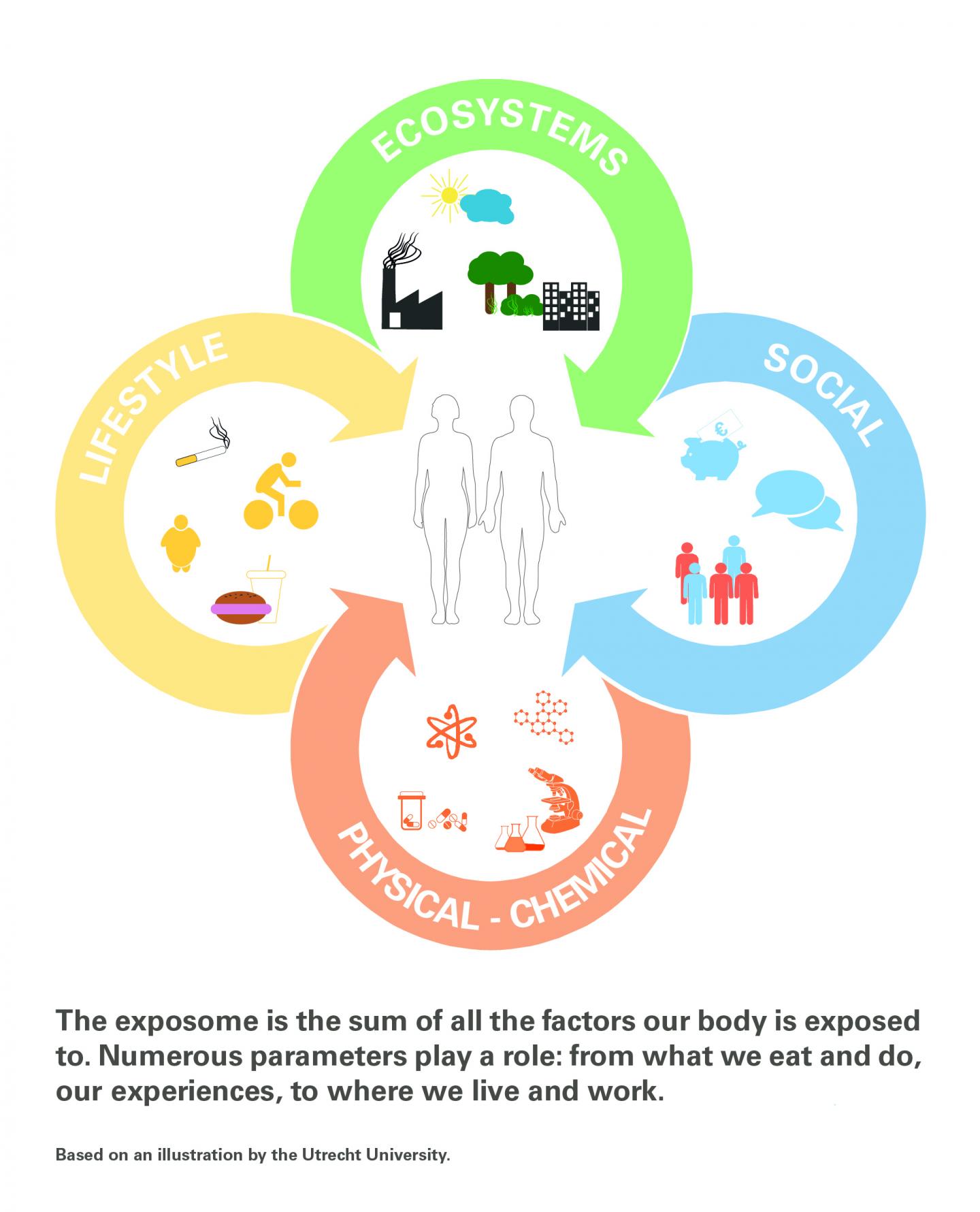 Exposome Illustration (1 of 2)