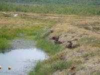 Permafrost Collapsing North of the Arctic Circle
