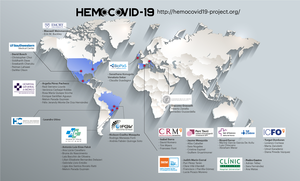 Hemocovid consortium