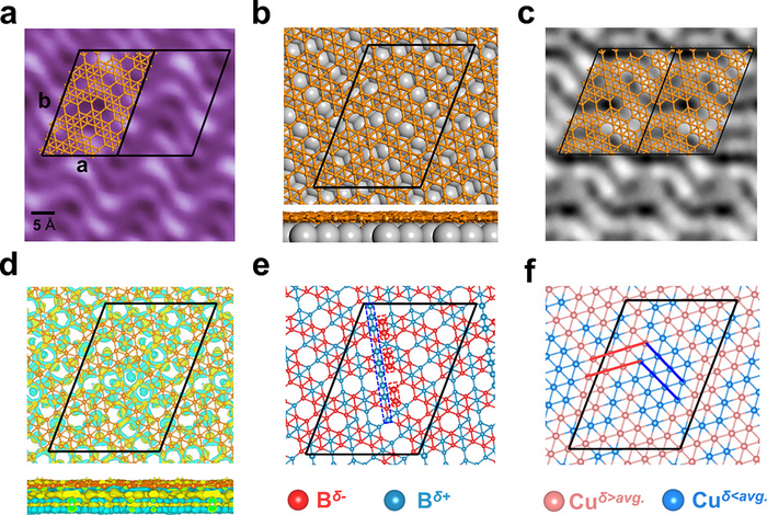 The scanning tunneling microscope (STM) characterization, structural motifs, simulated STM image and charge redistribution of monolayer borophene on Cu(111)