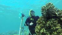 Dr Shelby Temple diving at Great Barrier Reef