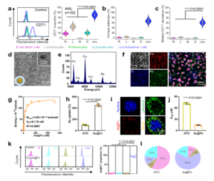 CD71 expression on leukemia cells, As@Fn construction and targeting ability analysis