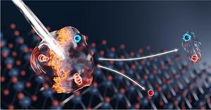 Extremely fast switching process between electrically neutral and charged luminescent particles in a two-dimensional material