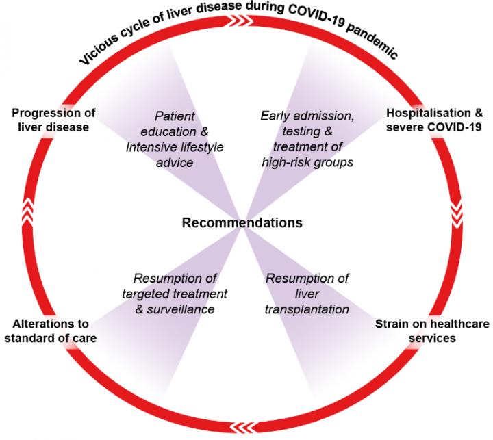 Vicious Cycle of Liver Disease during COVID-19 Pandemic