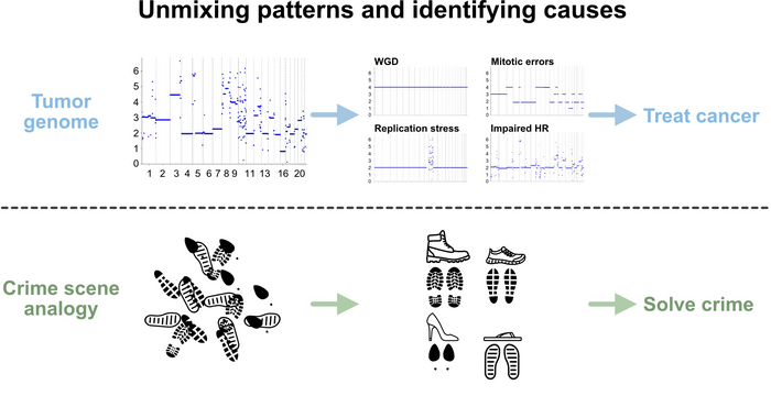 Graphic of the study