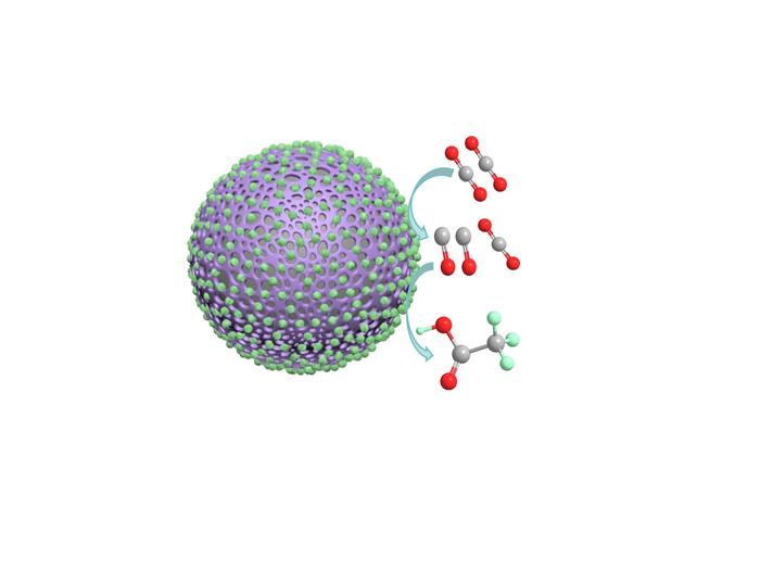 Polyaniline catalyst coated in cobalt oxide nanoparticles