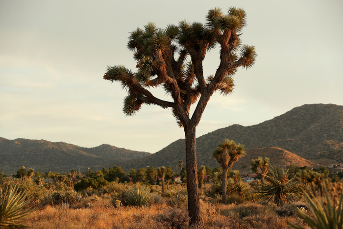 Unexpected source of greenhouse gas