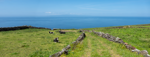 Pastures on Terceira