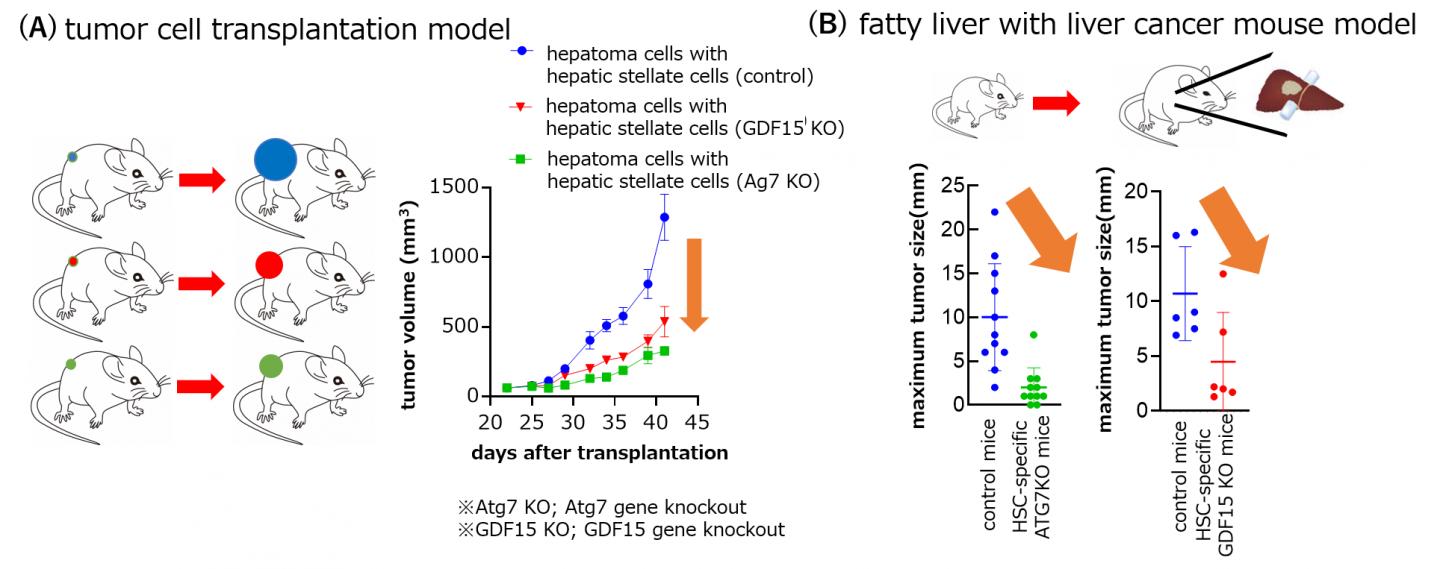 Fig. 2 [IMAGE] EurekAlert! Science News Releases
