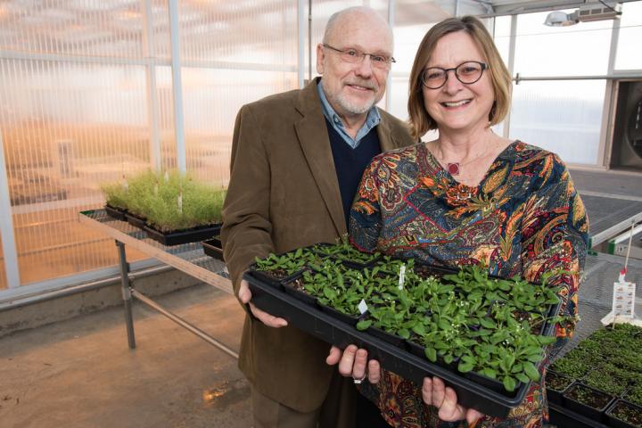 Jack Schultz and Heidi Appel, University of Missouri-Columbia