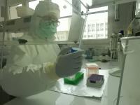 Maria Spyrou in the Clean Lab of the Max Planck Institute for the Science of Human History in Jena