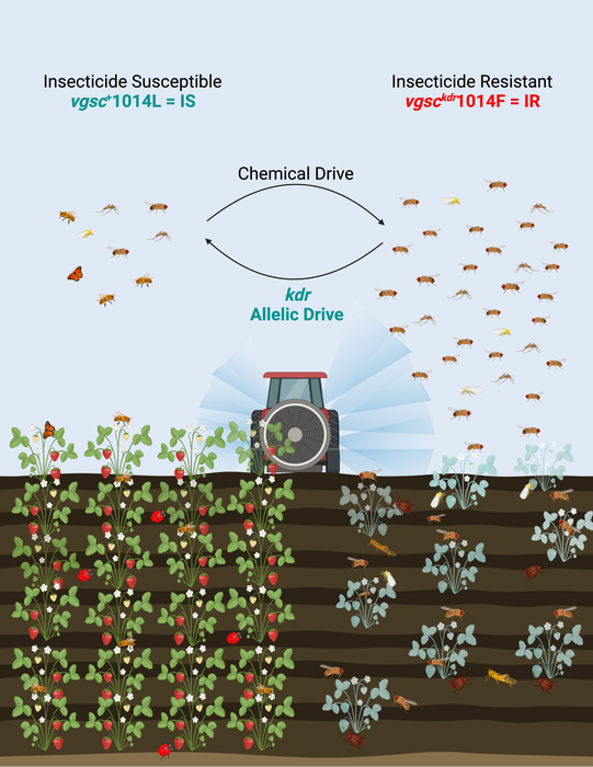 Reversing insecticide resistance