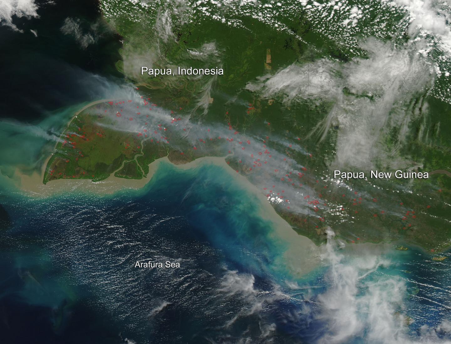 Fires in Papua, Indonesia and New Guinea