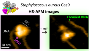 Figure 1.