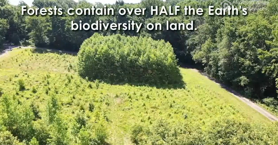 BiodiversiTREE: The 20,000-Tree Forest Experiment