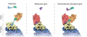 Different modes of molecular recognition